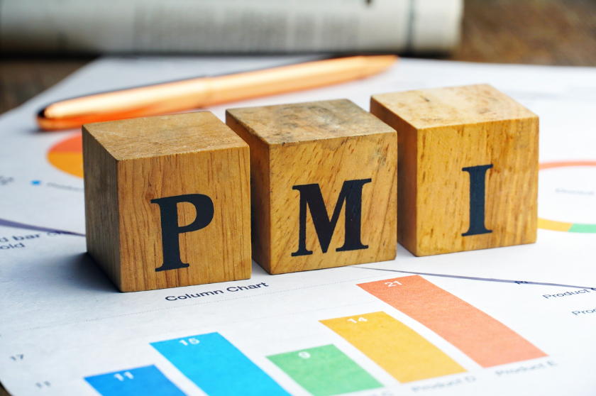 Gestão de Projetos e PMI®