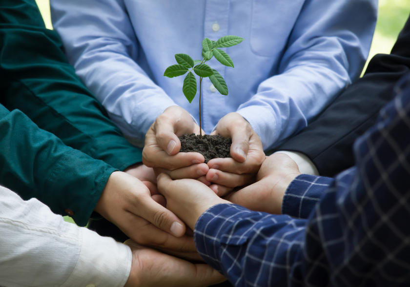 Responsabilidade Socioambiental em Projetos